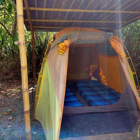 Rumi Wilco Ecolodge & Nature Reserve-Cabanas & Camping 빌카밤바 외부 사진