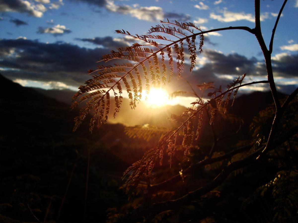 Rumi Wilco Ecolodge & Nature Reserve-Cabanas & Camping 빌카밤바 외부 사진